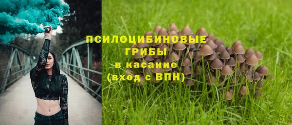 кокаин премиум Краснослободск